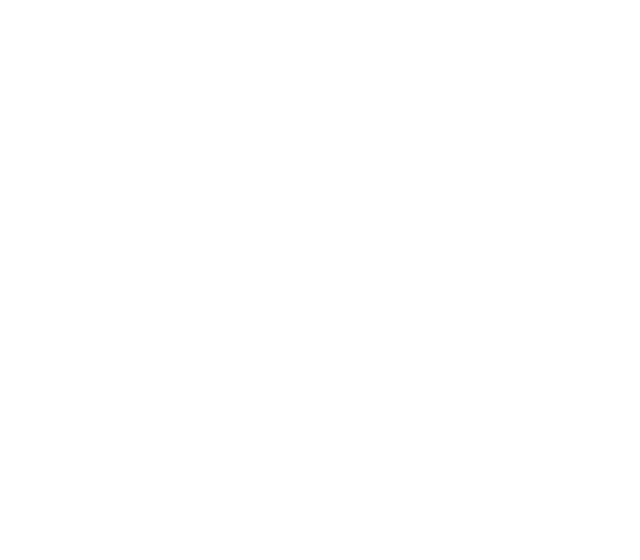 segalla autopeças logo